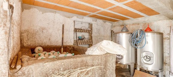 3 غرف نوم منزل في Baiao, Portugal رقم 26938 10