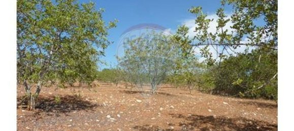 100m² Land in Albufeira, Portugal No. 43070 10