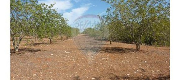 100m² Land in Albufeira, Portugal No. 43070 2