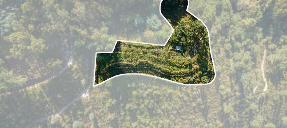  قطعة أرض في Louredo, Portugal رقم 55071 10