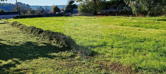 2 Schlafzimmer Haus in Santo Tirso, Portugal, Nr. 19206 5