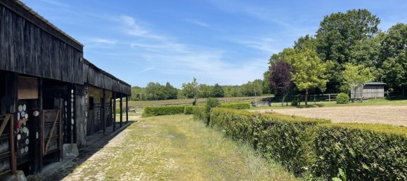 6 bedrooms Castles in Indre-et-Loire, France No. 63036 4