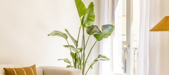 2 bedrooms Apartment in Ciutat Vella, Spain No. 135589 9