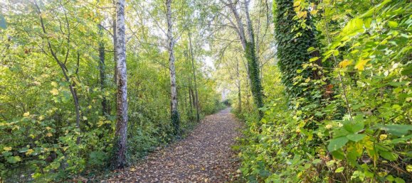 Apartamento de 4 habitaciónes en Schwechat, Austria No. 134415 9