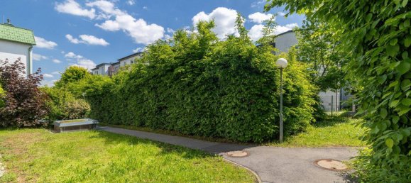 Apartamento de 4 habitaciónes en Schwechat, Austria No. 134415 7