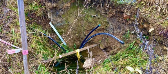  Land in Zwettl-Niederosterreich, Austria No. 92242 6