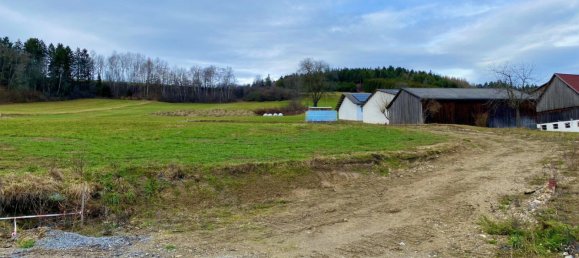  Land in Zwettl-Niederosterreich, Austria No. 92242 3