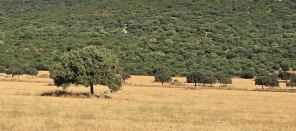  Land in Toledo, Spain No. 148475 4