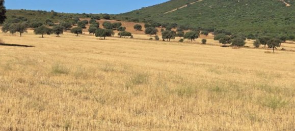  Land in Toledo, Spain No. 148475 8