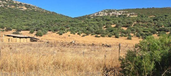  Land in Toledo, Spain No. 148475 7