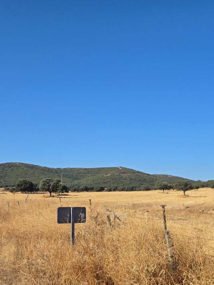  Land in Toledo, Spain No. 148475