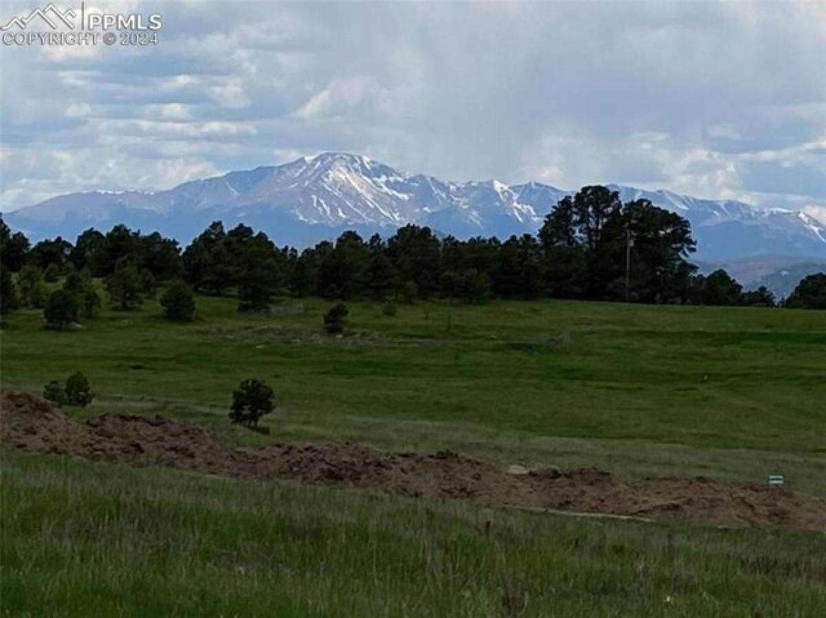  Land in Colorado Springs, USA No. 485428