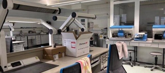 12-Zimmer Gebäude in Stendal, Germany, Nr. 146000 8