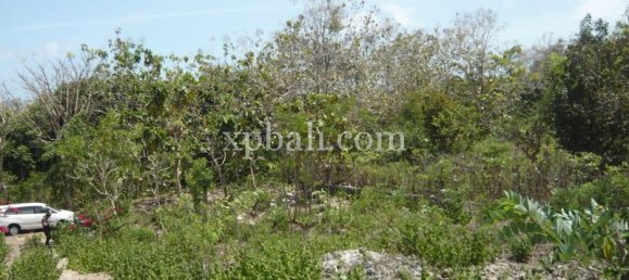 Land in South Kuta, Indonesia No. 4201 3
