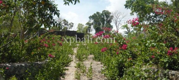 Land in South Kuta, Indonesia No. 4201 8