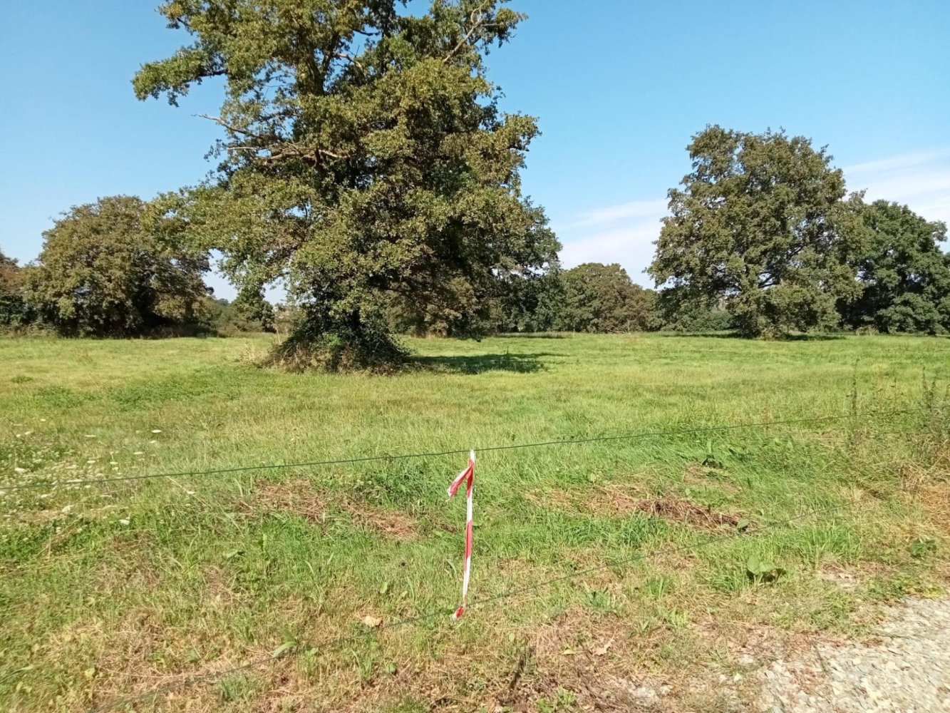  قطعة أرض في Ahuille, France 2886متر مربع رقم 95932