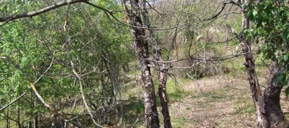 358m² Land in Londa, Italy No. 86576 5