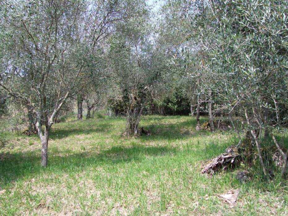 358m² Land in Londa, Italy No. 86576