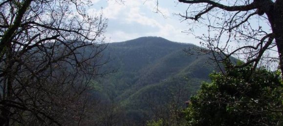 358m² Land in Londa, Italy No. 86576 7