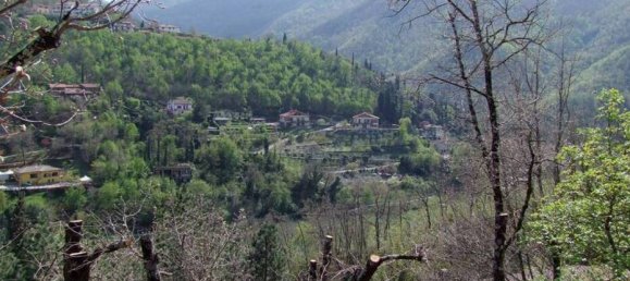 358m² Land in Londa, Italy No. 86576 10