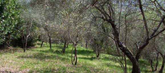 358m² Land in Londa, Italy No. 86576 8