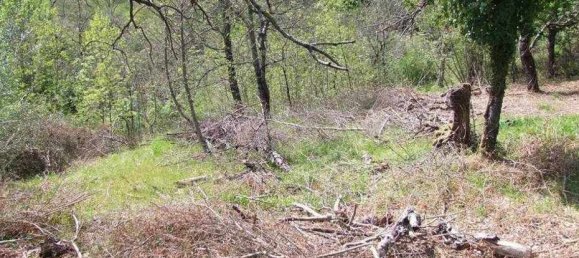 358m² Land in Londa, Italy No. 86576 6