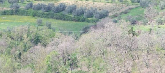 358m² Land in Londa, Italy No. 86576 4