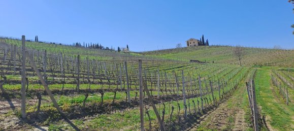 36000m² Land in Calamandrana, Italy No. 174949 6