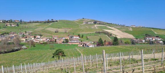 36000m² Land in Calamandrana, Italy No. 174949 7