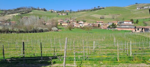 36000m² Land in Calamandrana, Italy No. 174949 3