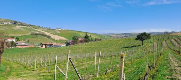 36000m² Land in Calamandrana, Italy No. 174949 4