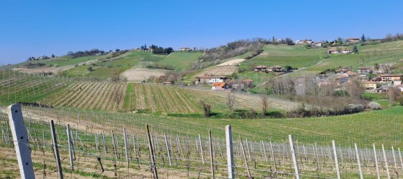 36000m² Land in Calamandrana, Italy No. 174949 9