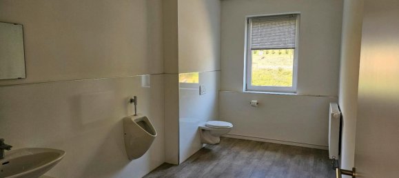 Imóvel comercial em Donnersbergkreis, Germany N.º 270159 13