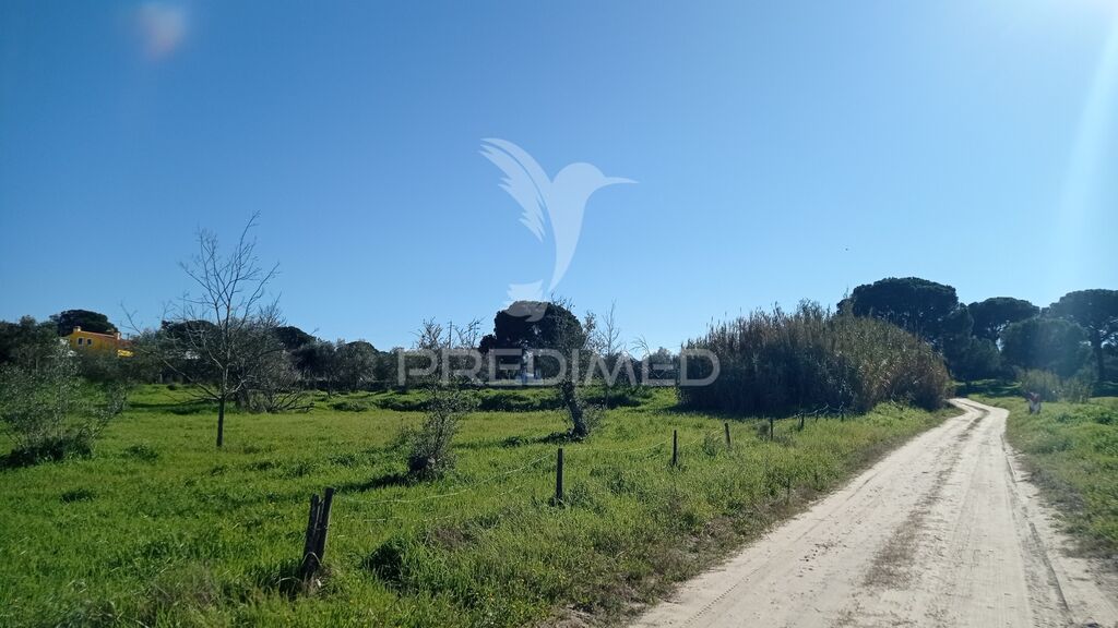 Terreno em Couço, Portugal 4500 m² N.º 75870