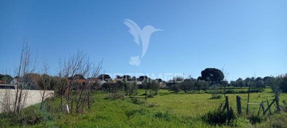 Terreno em Couço, Portugal 4500 m² N.º 75870 2