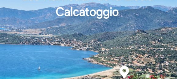 Studio in Calcatoggio, France No. 220601 7