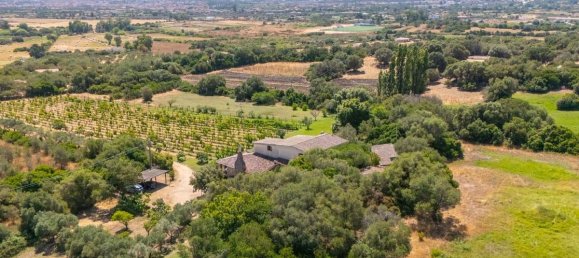 4 bedrooms House in Olbia, Italy No. 295147 6