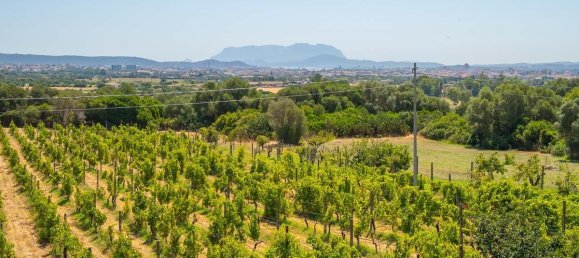 4 bedrooms House in Olbia, Italy No. 295147 39