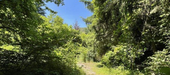  Land in Velden am Worther See, Austria No. 237826 5