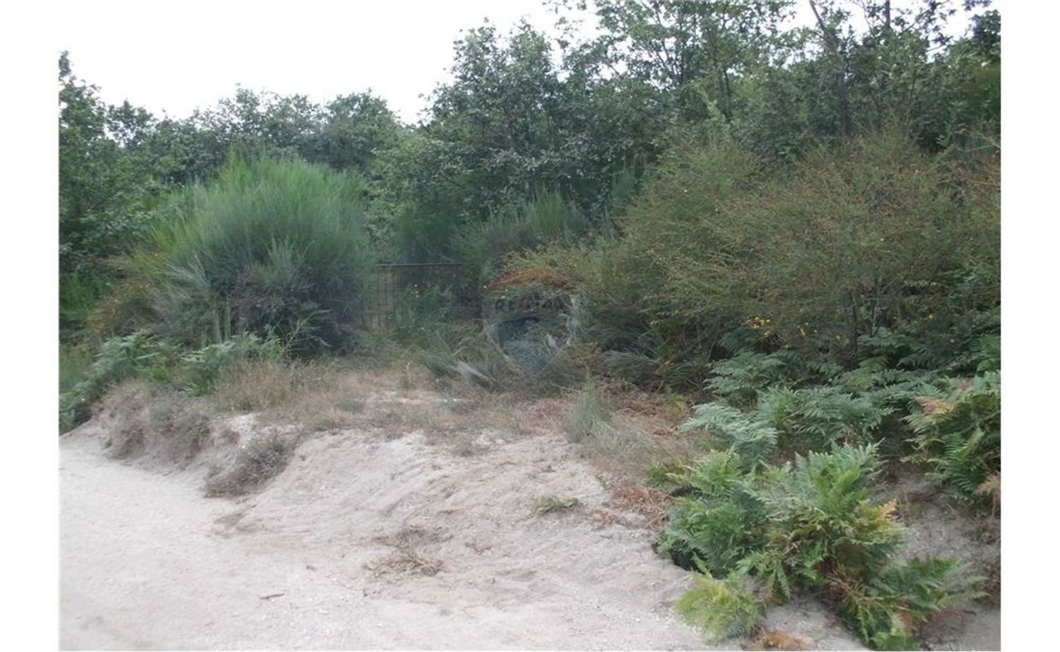 Grundstück in Fafe, Portugal 5224m², Nr. 25214