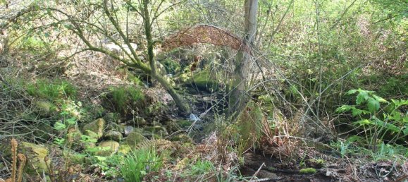 Grundstück in Fafe, Portugal 5224m², Nr. 25214 4