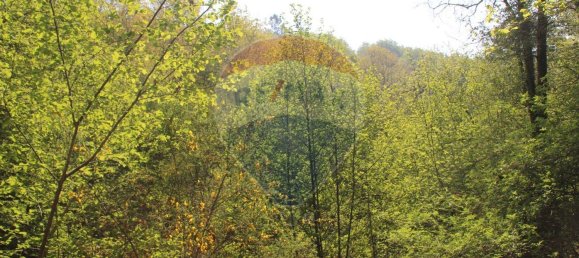 Grundstück in Fafe, Portugal 5224m², Nr. 25214 6