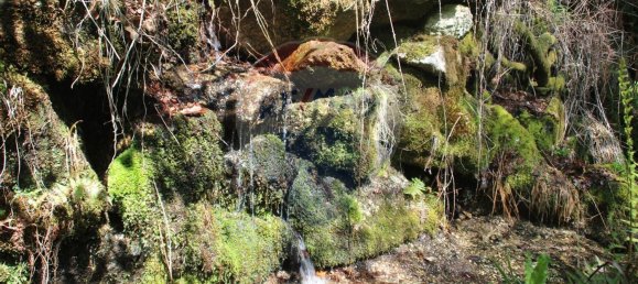 Grundstück in Fafe, Portugal 5224m², Nr. 25214 7