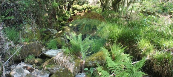 Grundstück in Fafe, Portugal 5224m², Nr. 25214 8