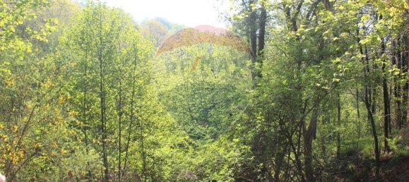 Grundstück in Fafe, Portugal 5224m², Nr. 25214 5