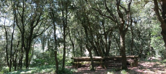 3 rooms Apartment in Lugnano in Teverina, Italy No. 106614 28