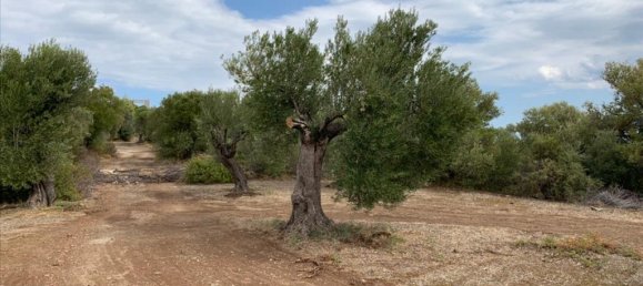 12458m² Hotel in Chalkidiki, Greece No. 4550 2