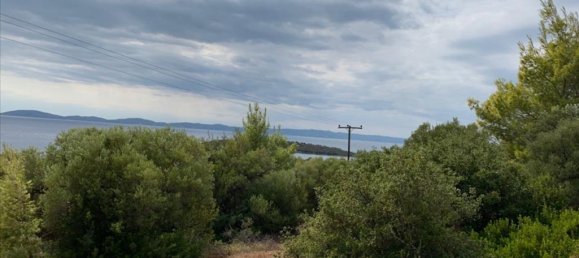 12458m² Hotel in Chalkidiki, Greece No. 4550 8