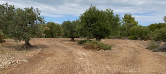 12458m² Hotel in Chalkidiki, Greece No. 4550 5