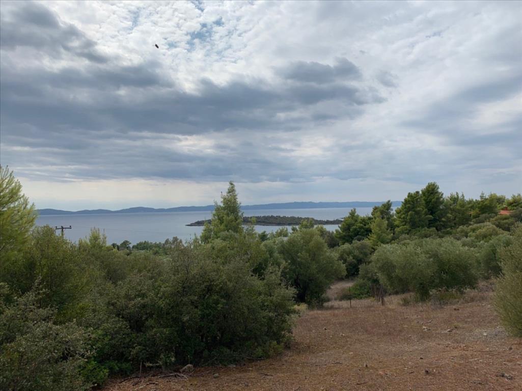 12458 m² hotel en venta en Chalkidiki, Central Macedonia, Macedonia and Thrace, Greece № 4550